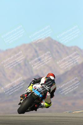 media/Jan-13-2024-SoCal Trackdays (Sat) [[9c032fe5aa]]/Turn 9 Backside (110pm)/